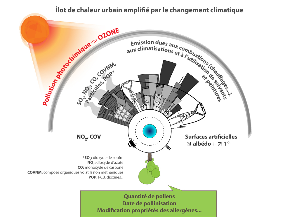 Les émissions de polluants issues des activités humaines en ville participent à la formation de la pollution photochimique. L'ozone ainsi émis est un gaz à effet de serre. De plus, les surfaces artificielles ont un albédo faible, ce qui va augmenter la température localement. Cet îlot de chaleur urbain ainsi créé sera d'autant plus amplifié par le changement climatique et aura des effets sur la végétation en modifiant par exemple les dates de pollinisation, la quantité de pollens émises ou encore venir modifier les propriétés des allergènes.